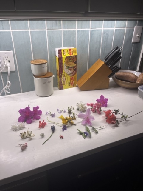 Flowers we collected